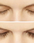 Perkylash Eyelash Serum