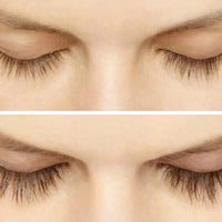 Perkylash Eyelash Serum