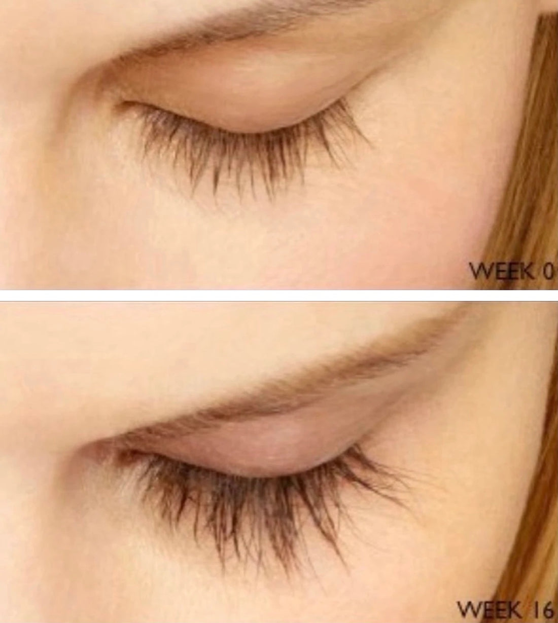 Perkylash Eyelash Serum