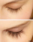 Perkylash Eyelash Serum