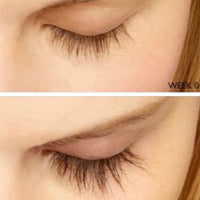 Perkylash Eyelash Serum